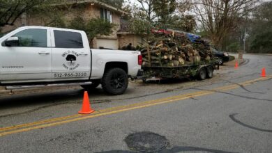 tree cutting service San Antonio