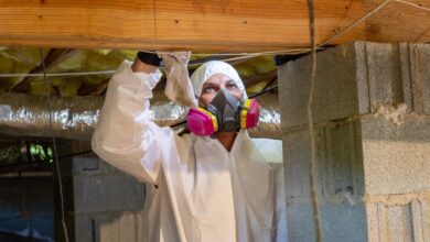 crawl space cleaning and repair Charlotte NC