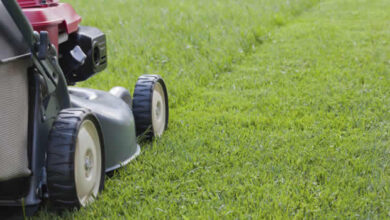 Lawn Mowing Service Fayetteville AR