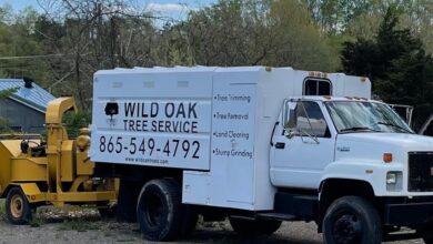 tree cutting company San Antonio TX