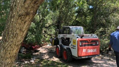 tree cutting company Austin TX