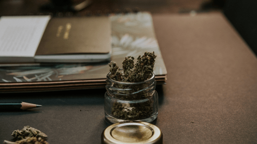 seeds for marijuana