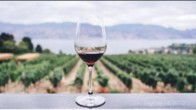Dry Furmint Wines