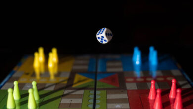 Ludo