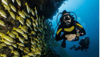 Hurghada diving