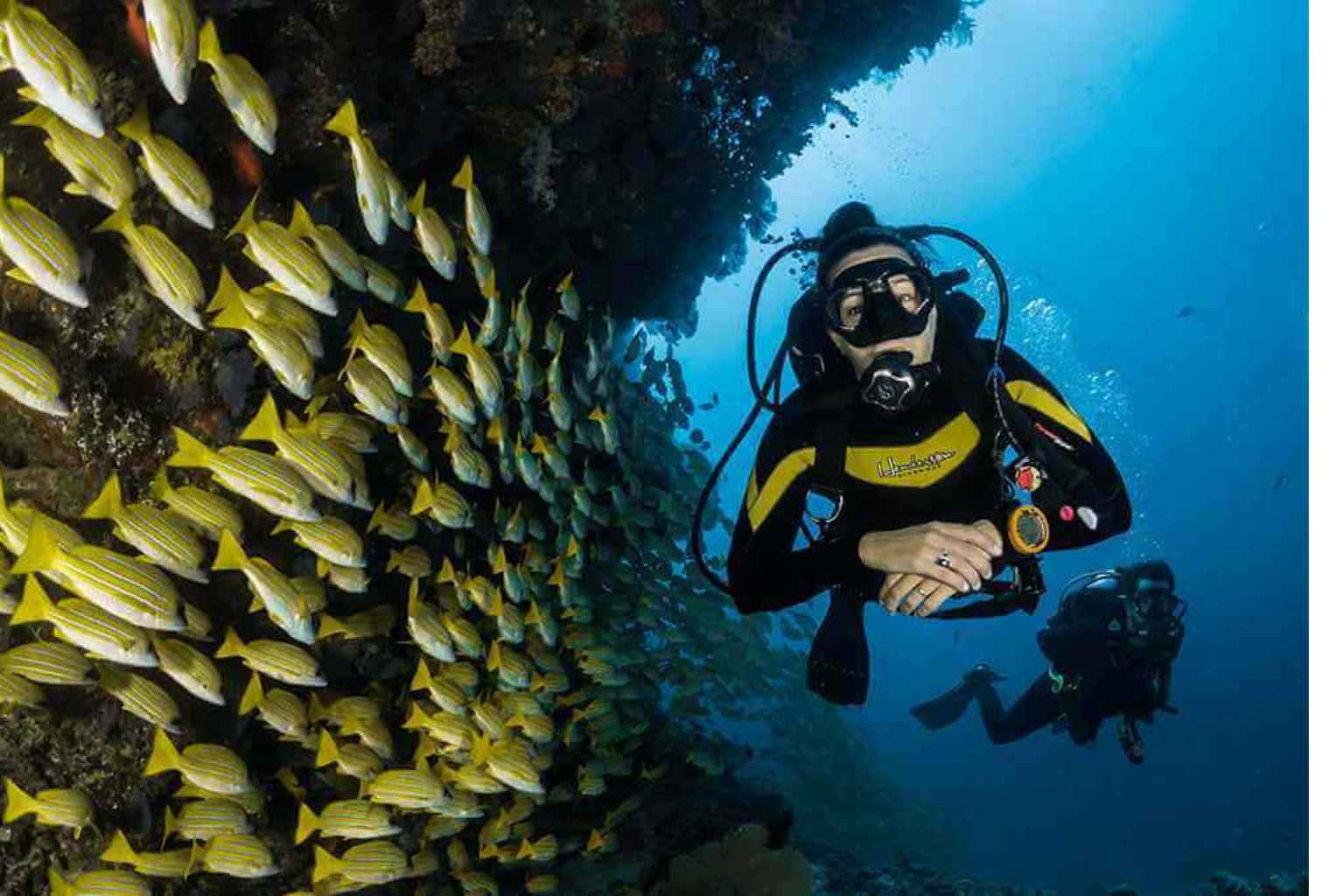 Hurghada diving