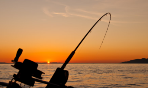 Fishing reports