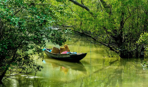 Sundarban tour