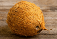 Husk Coconut
