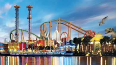 Orlando transportation services
