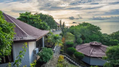 best ayahuasca retreat in the world