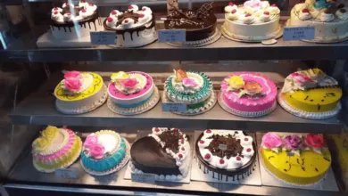 Exploring the Monginis Cake Franchise Opportunity