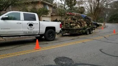 tree cutting service San Antonio