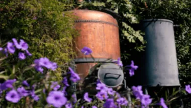 Choosing the Right Boiler for Your Distillery