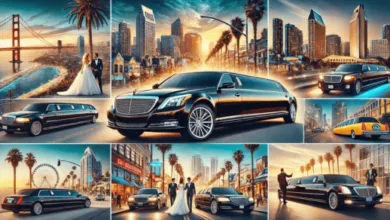 Miami limo service