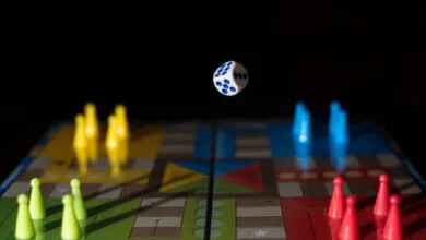 Ludo