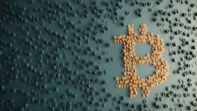 Crypto Insight