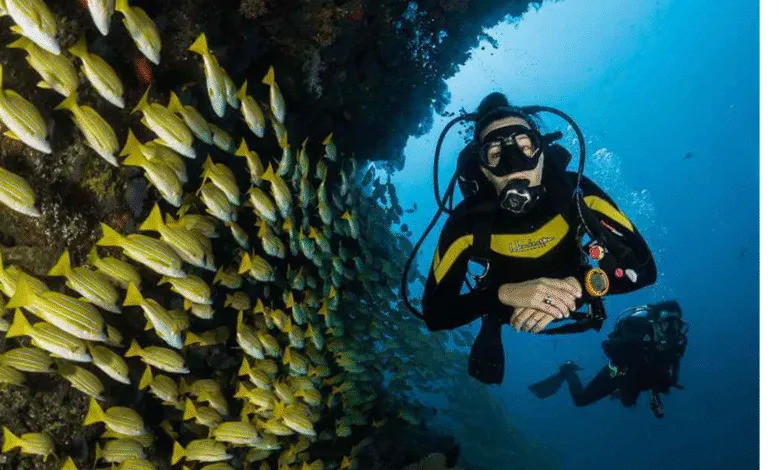 Hurghada diving