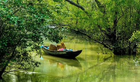 Sundarban tour