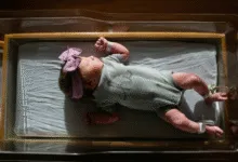 best baby sound machines