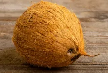 Husk Coconut