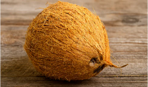 Husk Coconut