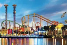 Orlando transportation services