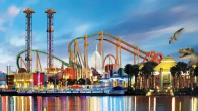 Orlando transportation services